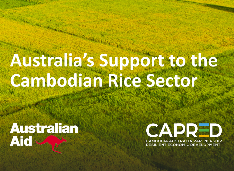 ការគាំទ្ររបស់រដ្ឋាភិបាលអូស្ត្រាលី ដល់វិស័យស្រូវអង្កររបស់កម្ពុជា